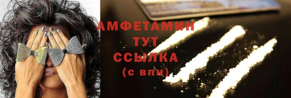 трава Гусиноозёрск