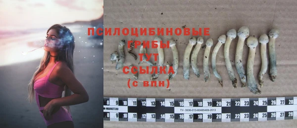 a pvp Гусев