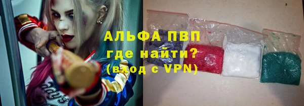 сатива Ростов