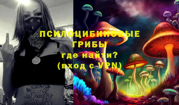 трава Гусиноозёрск