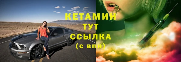 трава Гусиноозёрск