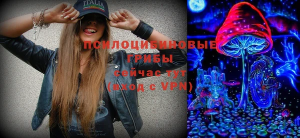 трава Гусиноозёрск