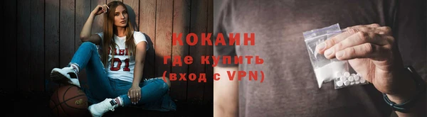 трава Гусиноозёрск