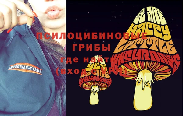 соль курить ск Гусь-Хрустальный