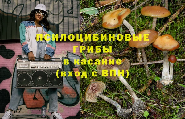 соль курить ск Гусь-Хрустальный