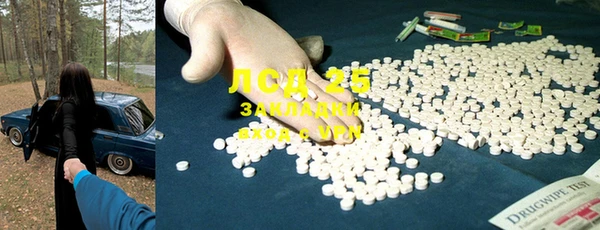 сатива Ростов