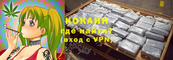 трава Гусиноозёрск