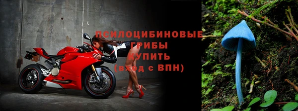 a pvp Гусев