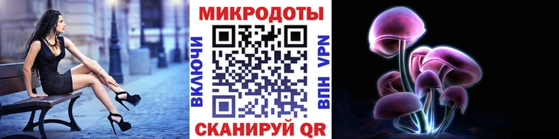 Купить где  Плёс  Псилоцибиновые грибы Psilocybe 